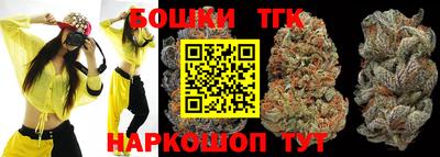 прущие крисы Камышлов