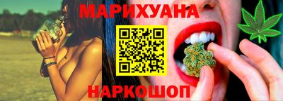 прущие крисы Камышлов