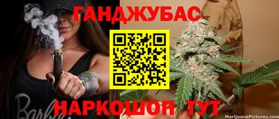 прущие крисы Камышлов