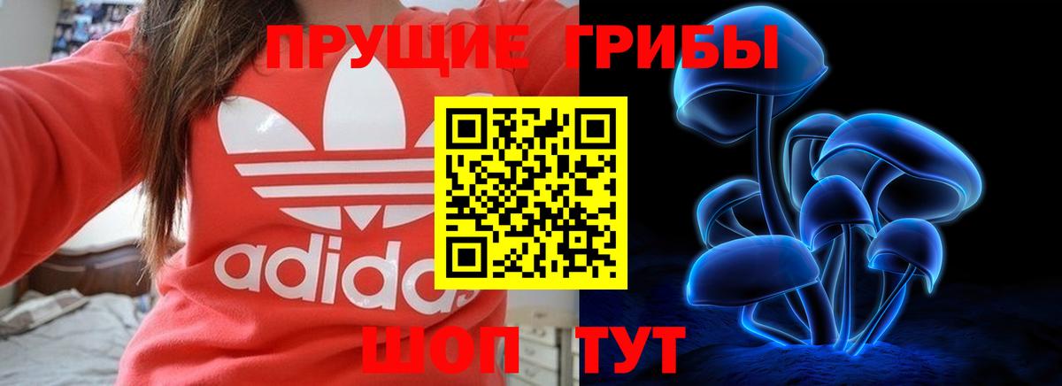 Валуйки  Галлюциногенные грибы мухоморы  Галлюциногенные грибы ЛСД  Вход с VPN 